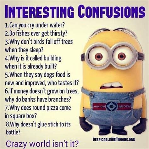 Confusion Quotes About Life Funny
